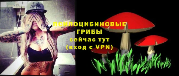 прущий лед Алексин