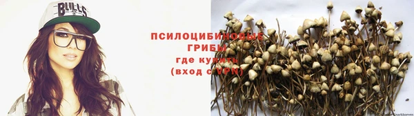 мяу мяу мука Алзамай