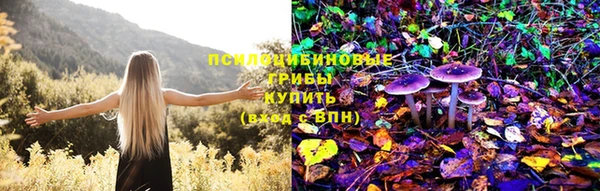 дурь Алексеевка