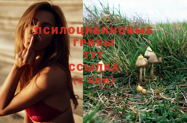 мяу мяу мука Алзамай