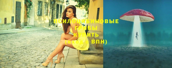 дурь Алексеевка